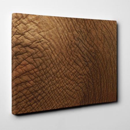 Tablou canvas abstract, Piele de... elefant [1]