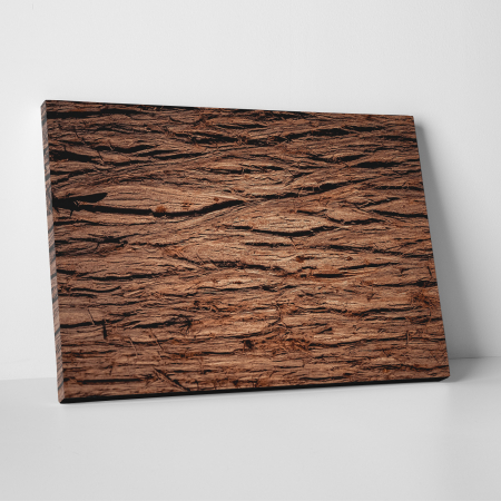 Tablouri canvas Abstracte - Tablou canvas abstract, Scoarta de copac