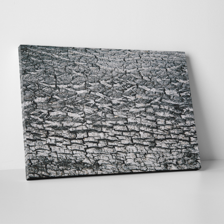 Tablouri canvas Abstracte - Tablou canvas abstract, Scoarta de copac alb-negru