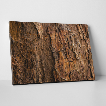 Tablouri canvas Abstracte - Tablou canvas abstract, Scoarta de copac putrezita