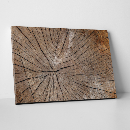 Tablouri canvas Abstracte - Tablou canvas abstract, Sectiune in lemn