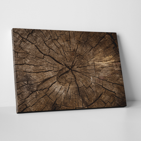 Tablouri canvas Abstracte - Tablou canvas abstract, Sectiune in trunchi de copac