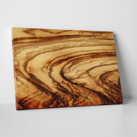 Tablouri canvas - Tablou canvas abstract, Sectiune trunchi copac