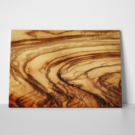 Tablou canvas abstract, Sectiune trunchi copac [2]