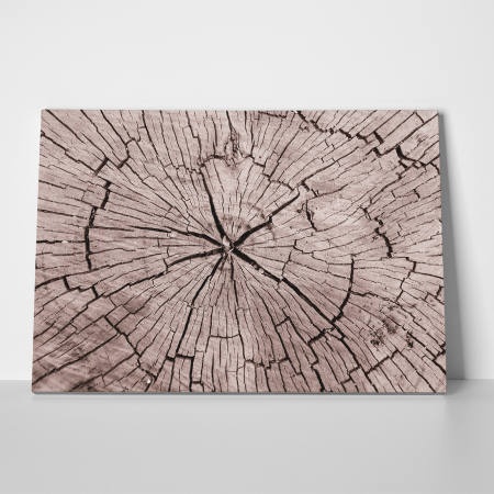 Tablou canvas abstract, Sectiune trunchi de copac [2]