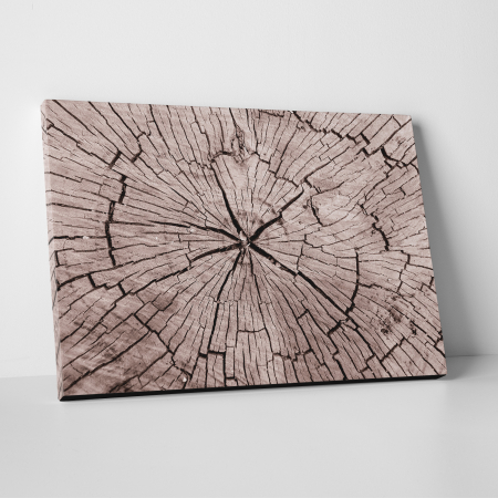 Tablouri canvas Abstracte - Tablou canvas abstract, Sectiune trunchi de copac