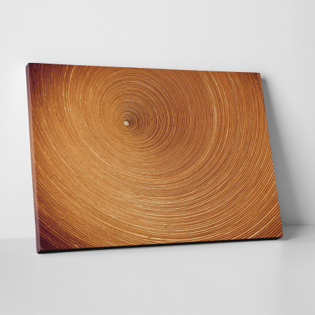Tablouri canvas Abstracte - Tablou canvas abstract, Spirala
