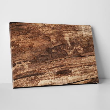 Tablouri canvas Abstracte - Tablou canvas abstract, Textura scoarta de copac