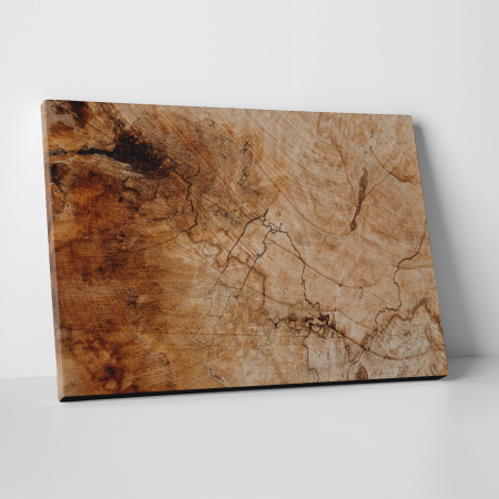 Tablouri canvas Abstracte - Tablou canvas abstract, Trunchi vechi de copac