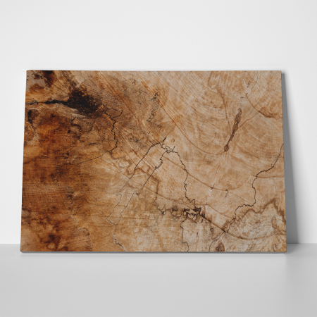 Tablou canvas abstract, Trunchi vechi de copac [2]