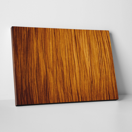 Tablouri canvas Abstracte - Tablou canvas abstract, Urme de... scortisoara