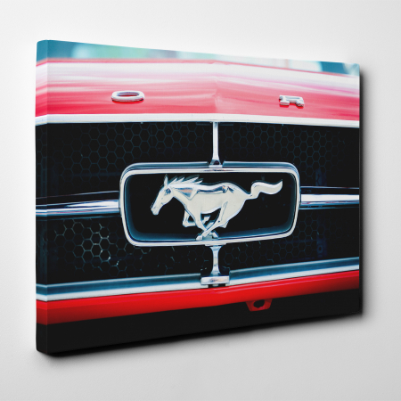 Tablou canvas auto-moto, Ford Mustang logo grila [1]