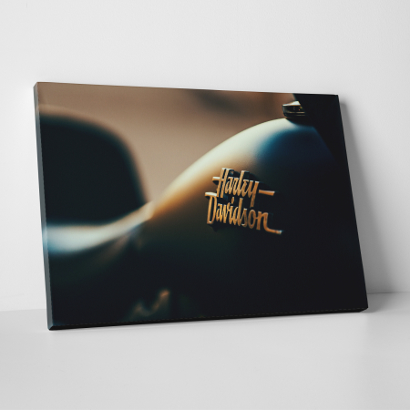Tablouri canvas Auto-Moto - Tablou canvas auto-moto, Harley Davidson logo