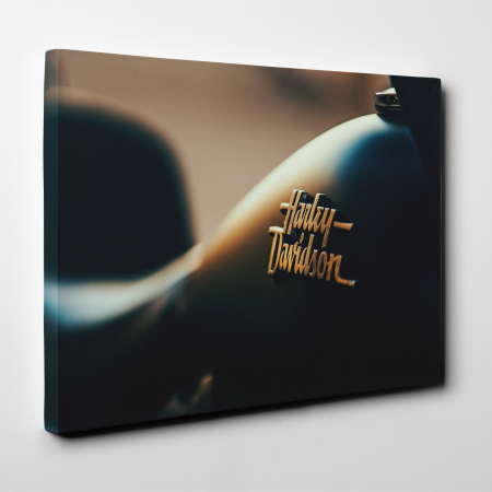 Tablou canvas auto-moto, Harley Davidson logo [1]
