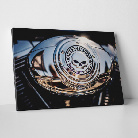 Tablouri canvas Auto-Moto - Tablou canvas auto-moto, Harley Davidson Motorcycles
