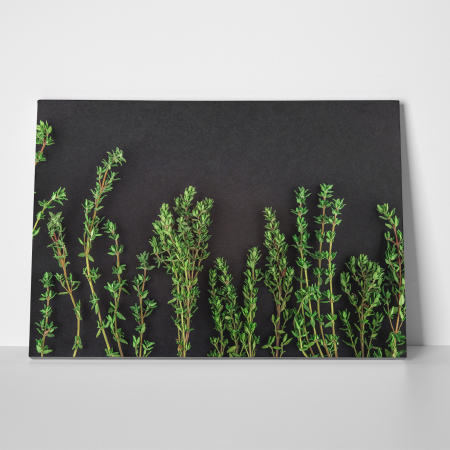 Tablou canvas bucatarie, Crengute verzi de cimbru [2]