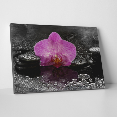 Tablouri canvas Feng Shui - Tablou canvas Feng Shui, motiv oriental, Orchid Dark Table