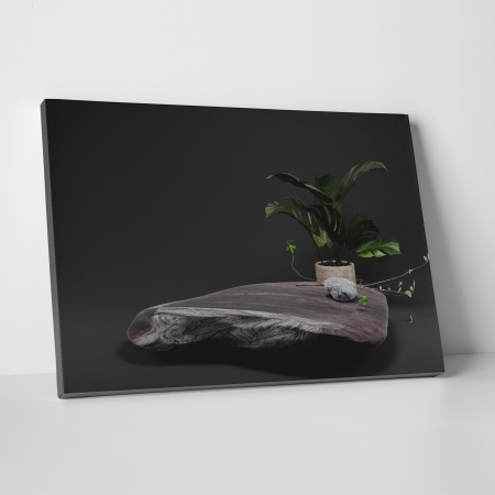 Tablouri canvas Feng Shui - Tablou canvas Feng Shui, motiv oriental, Stones and Plants