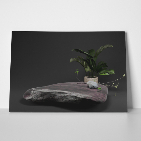 Tablou canvas Feng Shui, motiv oriental, Stones and Plants [1]