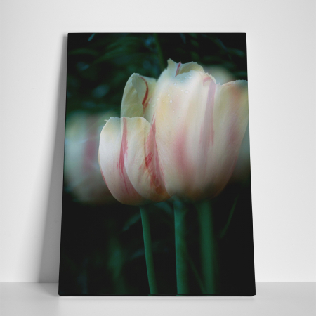 Tablou canvas floral, Blurred Tulip [2]