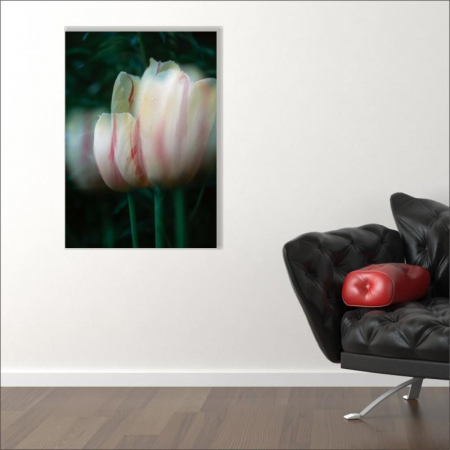 Tablou canvas floral, Blurred Tulip [1]