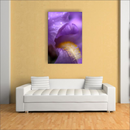 Tablou canvas floral, Lion's Mouth [2]
