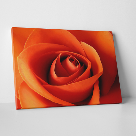 Tablouri canvas Natura - Tablou canvas floral, Orange Roses