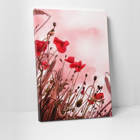 Tablouri canvas Natura - Tablou canvas floral, Pink and Poppies