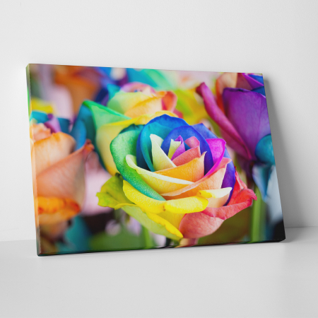 Tablouri canvas Natura - Tablou canvas floral, Rainbow Roses