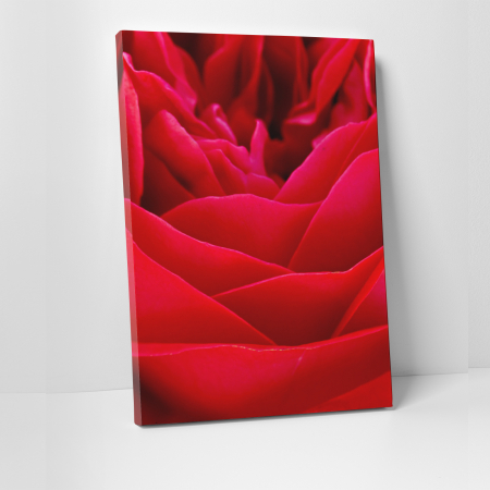Tablouri canvas Natura - Tablou canvas floral, Red Power