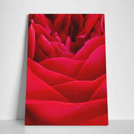 Tablou canvas floral, Red Power [3]
