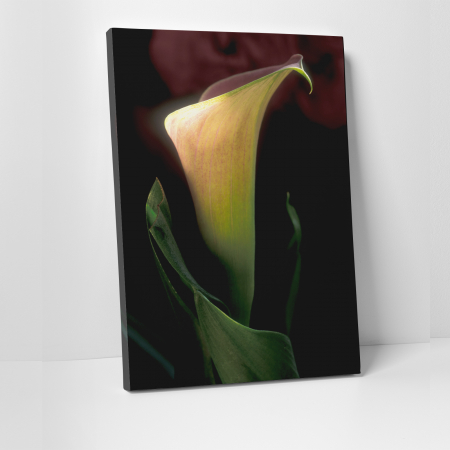 Tablouri canvas Natura - Tablou canvas floral, Silent Floral