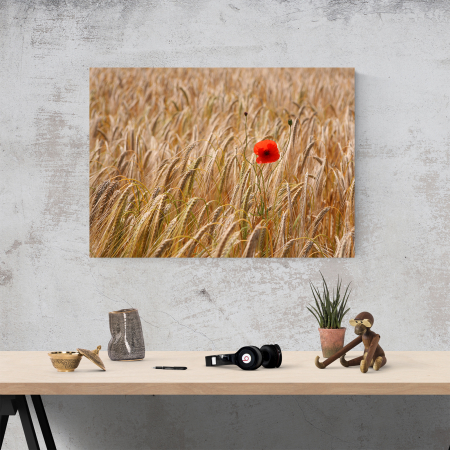Tablou canvas floral, Single Red [1]