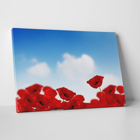 Tablouri canvas Natura - Tablou canvas floral, Sky and Poppies