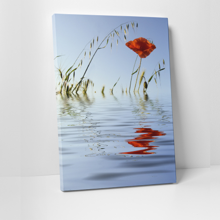 Tablouri canvas Natura - Tablou canvas floral, Water Reflections