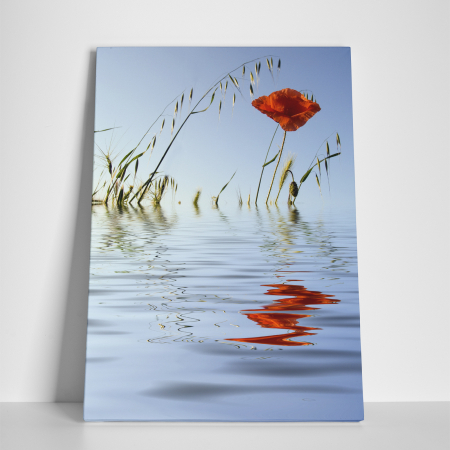 Tablou canvas floral, Water Reflections [2]