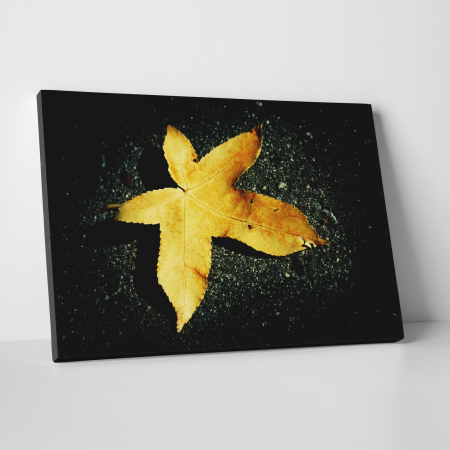 Tablouri canvas Natura - Tablou canvas floral, Yellow Leaf on Black
