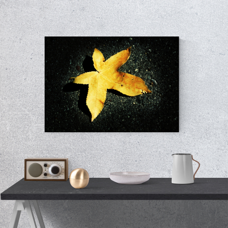 Tablou canvas floral, Yellow Leaf on Black [1]