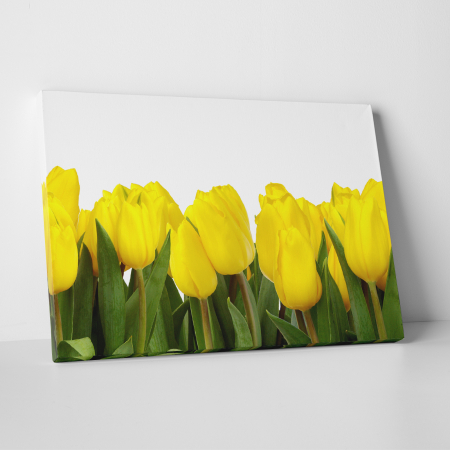 Tablouri canvas Natura - Tablou canvas floral, Yellow Tulips