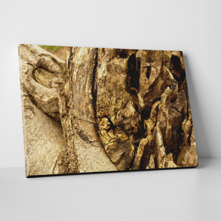 Tablouri canvas Natura - Tablou canvas natura, Aged Wood