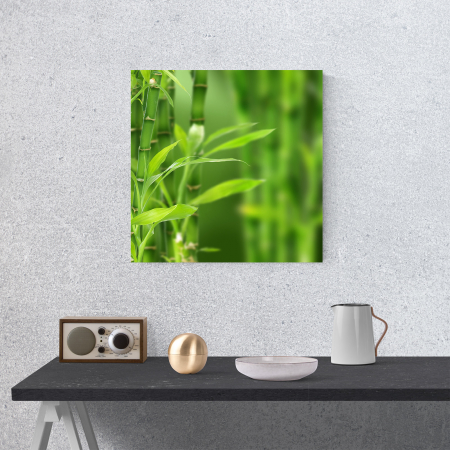 Tablou canvas natura, Bamboo [3]