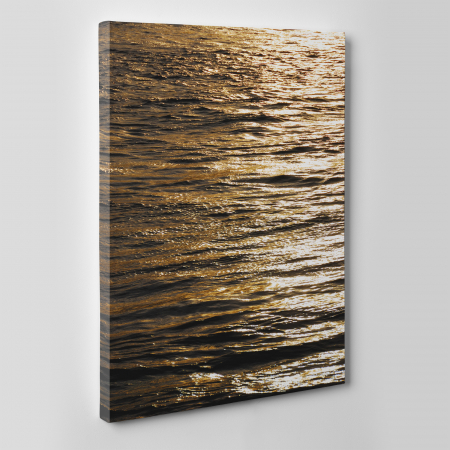 Tablou canvas natura, Brown Waters [1]