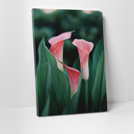 Tablouri canvas Natura - Tablou canvas natura, Buchet de flori