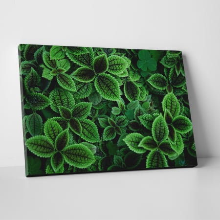 Tablouri canvas Natura - Tablou canvas natura, Buchetele de frunze
