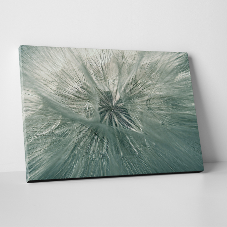 Tablouri canvas Natura - Tablou canvas natura, Papadie