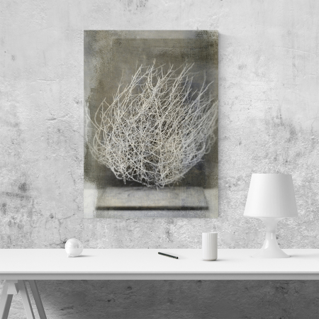Tablou canvas natura, Desert Flower [3]