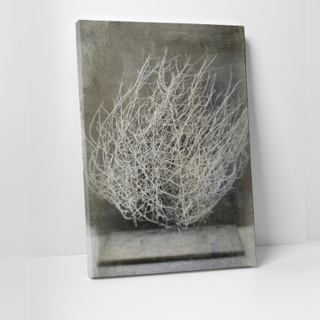 Tablouri canvas Natura - Tablou canvas natura, Desert Flower