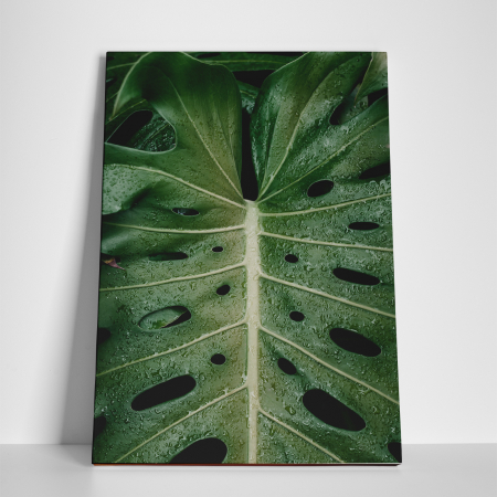Tablou canvas natura, Frunza in ploaie [2]