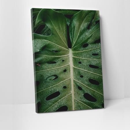 Tablouri canvas Natura - Tablou canvas natura, Frunza in ploaie