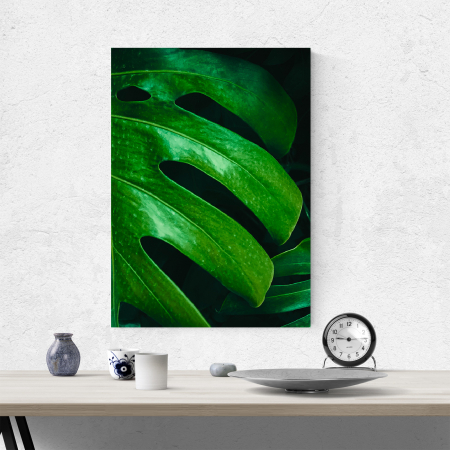 Tablou canvas natura, Frunza verde de Philodendron [3]
